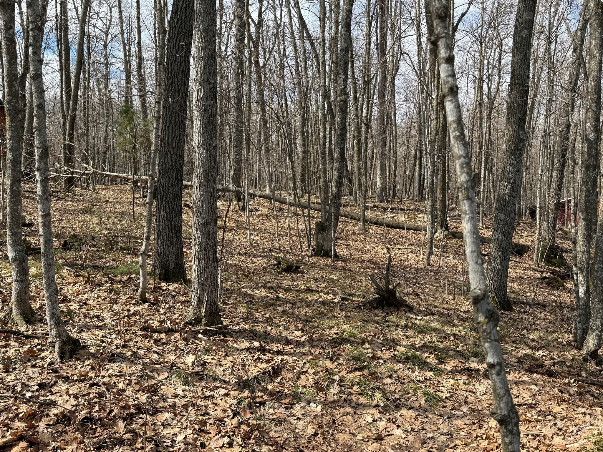 Xxx Ripley Spur Road Sarona, WI 54870 - Photo 21 of 23