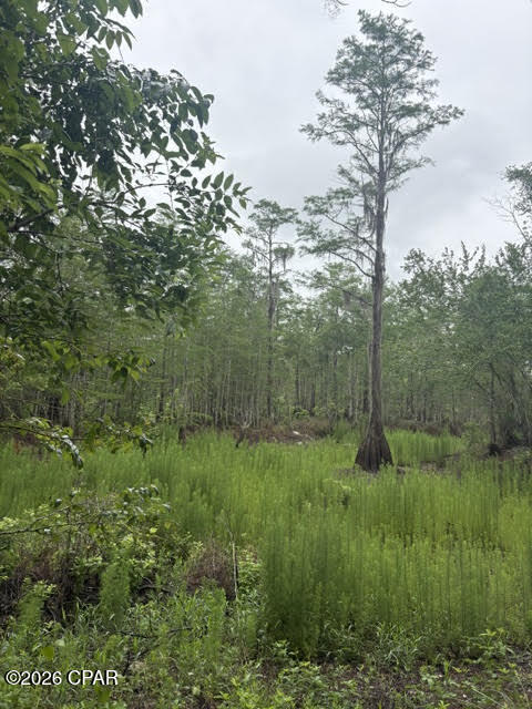 2435 Douglas Pond Road Marianna, FL 32446 - Photo 2 of 10