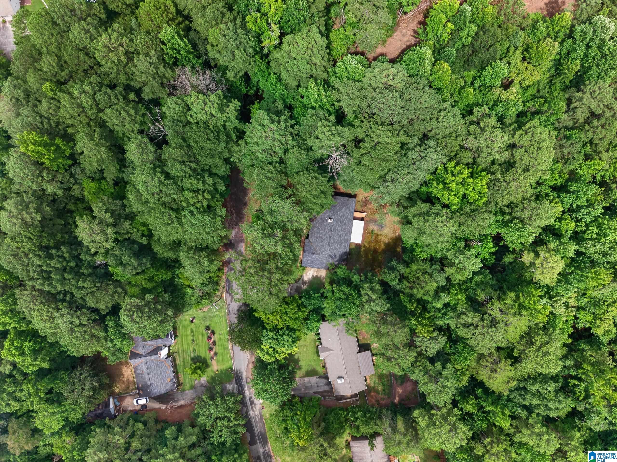 813 Sunshine Avenue Oneonta, AL 35121 - Photo 54 of 54