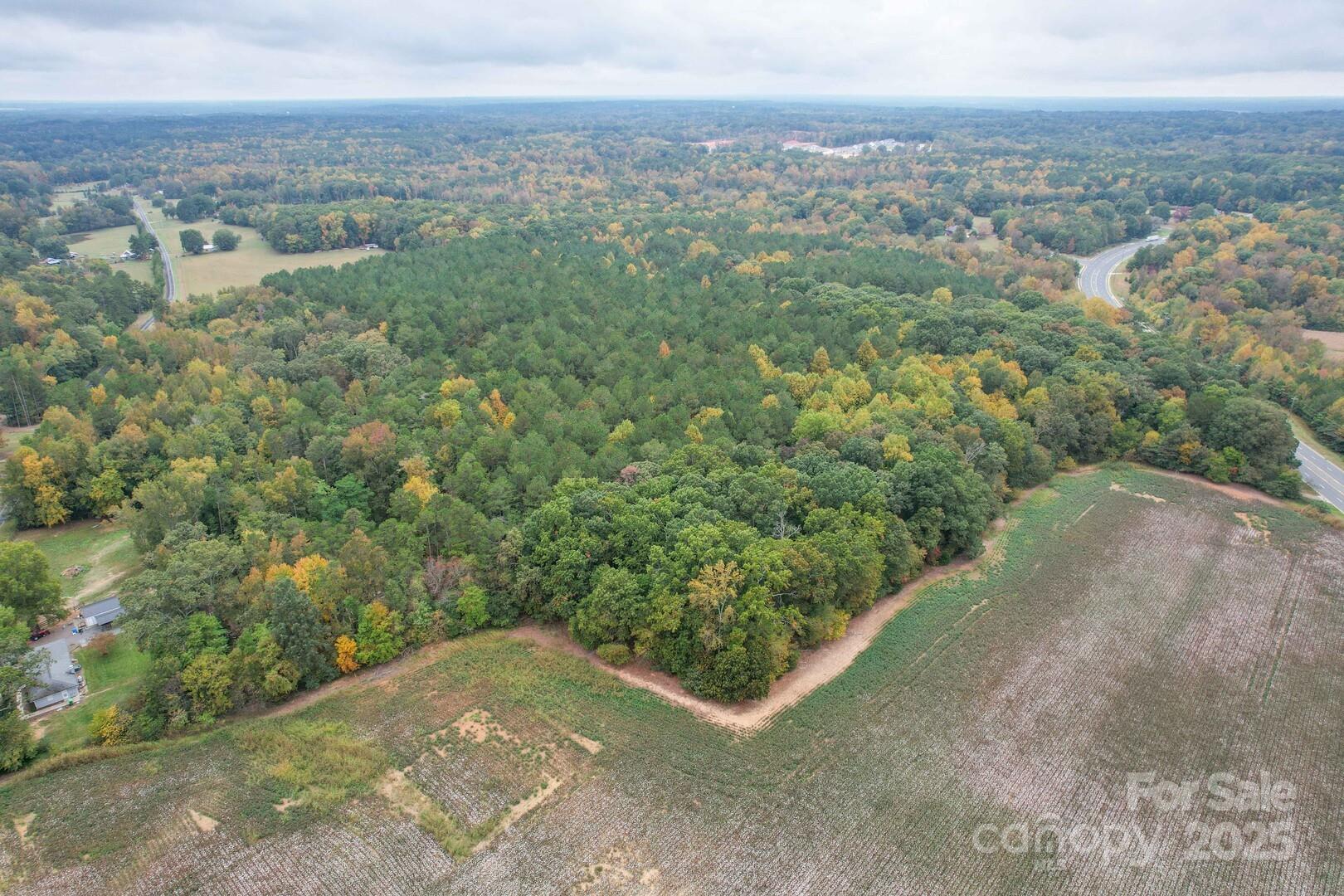an aerial view of greenery