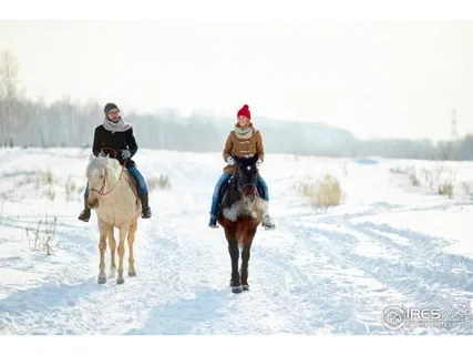 $350,000 | 12 Caribou Ridge Drive, Nederland, CO 80466