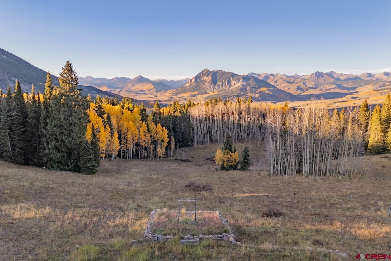1252 Red Mountain Ranch Road Crested Butte, CO 81224 - Photo 11 of 21 Gallery Image 11