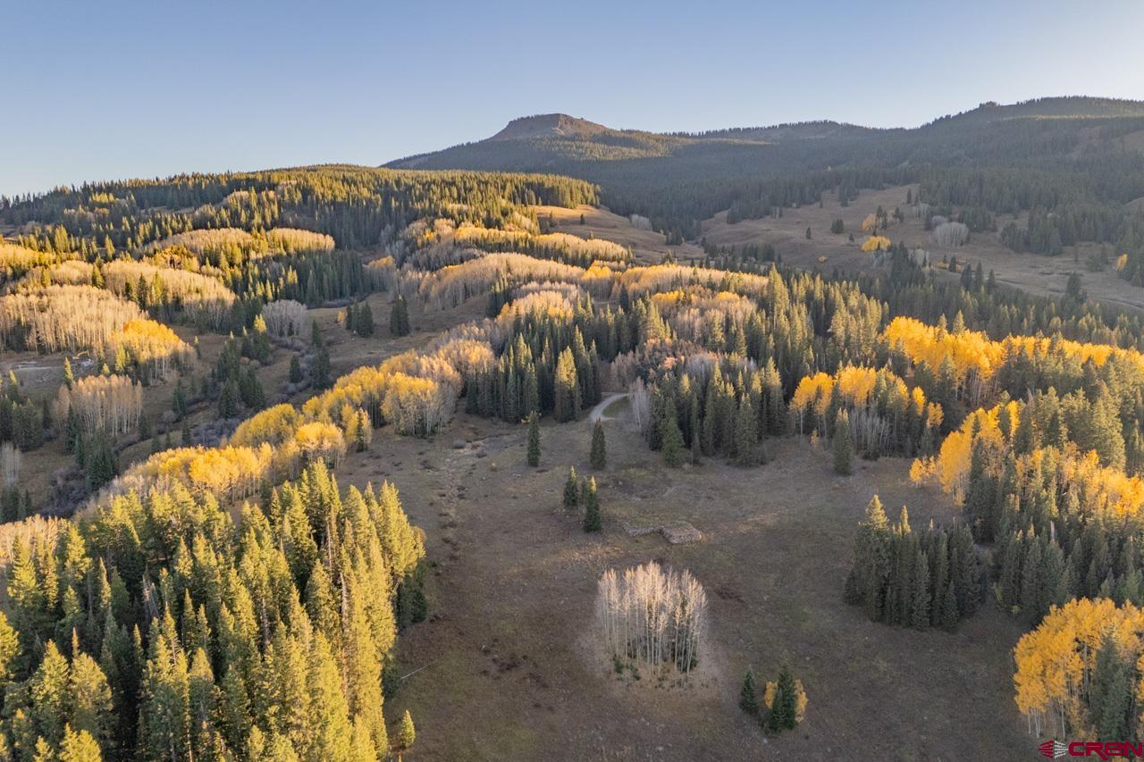 1252 Red Mountain Ranch Road Crested Butte, CO 81224 - Photo 4 of 21 Gallery Image 4