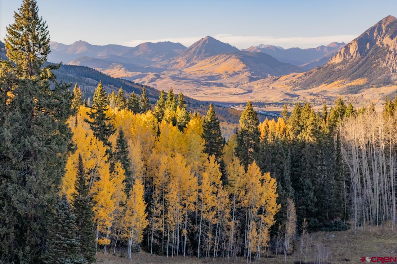 1252 Red Mountain Ranch Road Crested Butte, CO 81224 - Photo 7 of 21 Gallery Image 7