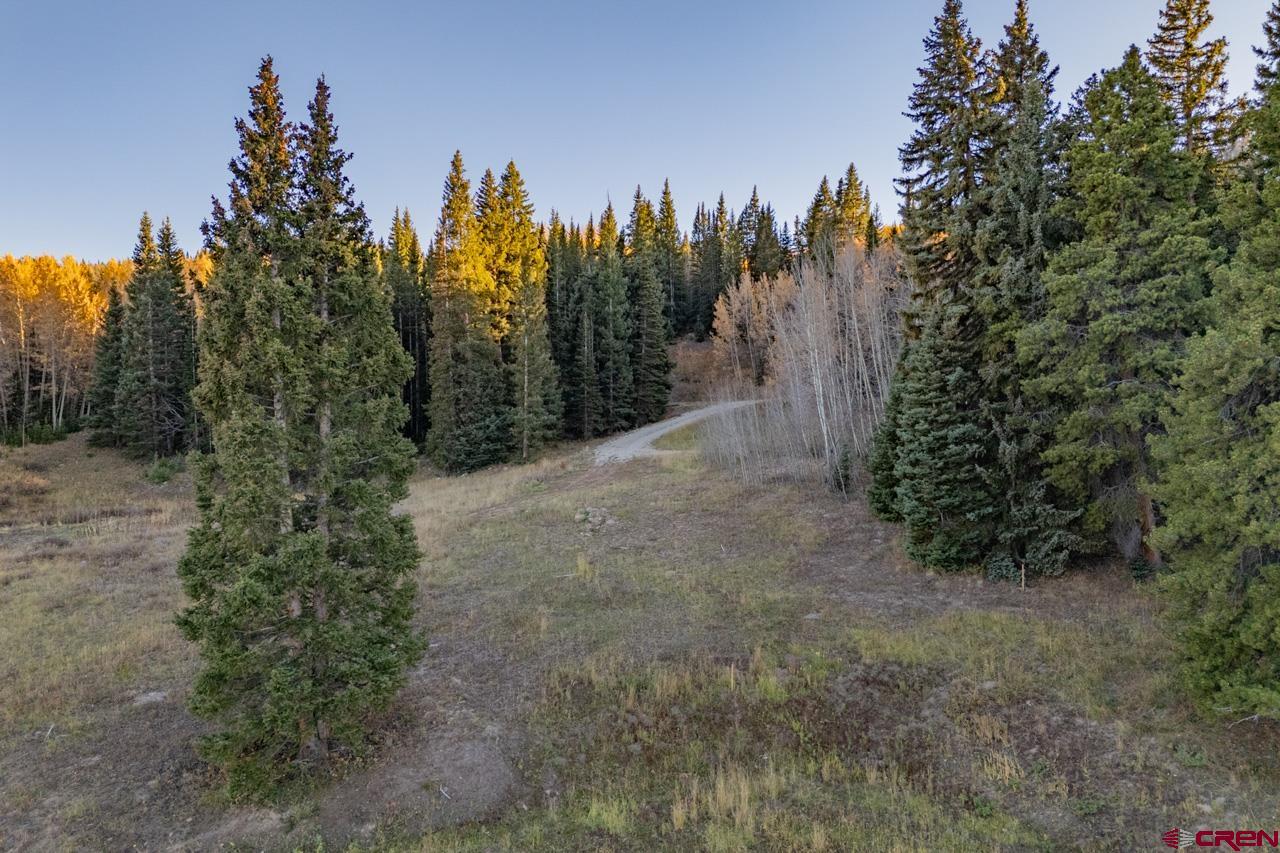 1252 Red Mountain Ranch Road Crested Butte, CO 81224 - Photo 8 of 21 Gallery Image 8