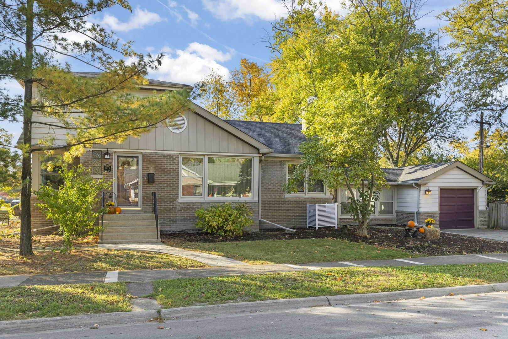 1913 Birch Road Homewood, IL 60430 - Photo 2 of 22 a front view of a house with a garden and tree
