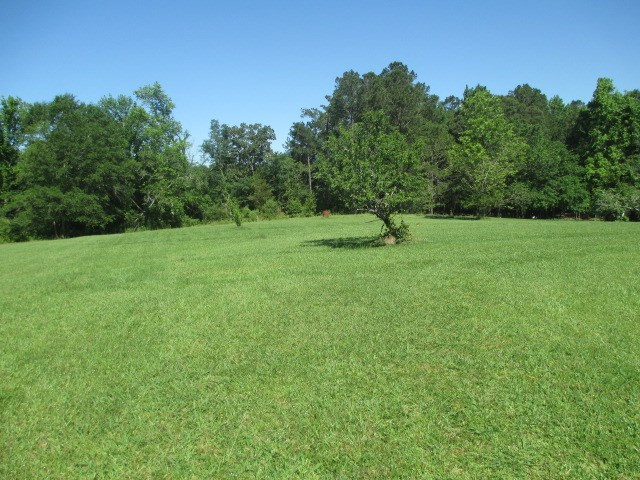 11675 Midway Road Raymond, MS 39154 - Photo 15 of 17 Photo 15