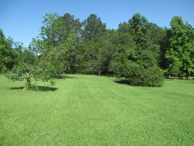 11675 Midway Road Raymond, MS 39154 - Photo 17 of 17 Photo 17