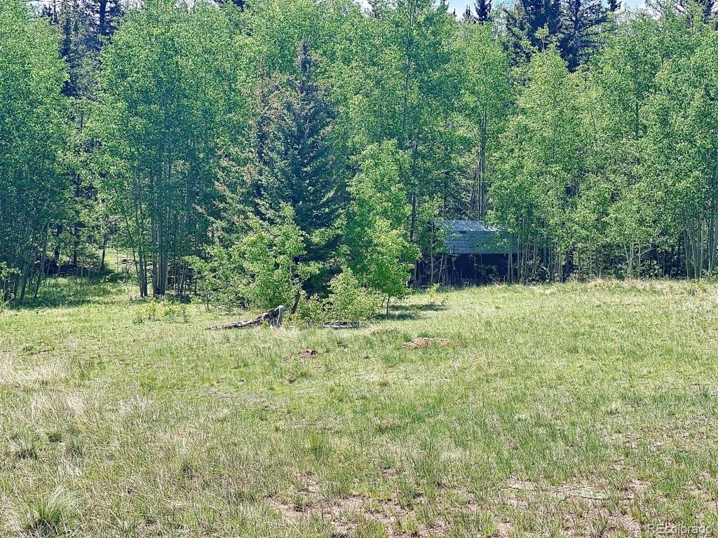 3466 Stagestop Road Jefferson, CO 80456 - Photo 4 of 11 Gallery Image 4