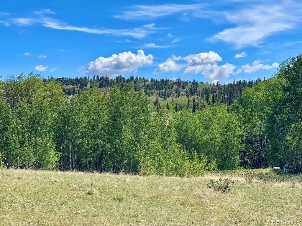 3466 Stagestop Road Jefferson, CO 80456 - Photo 5 of 11 Gallery Image 5