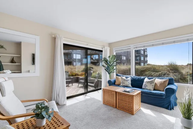 a living room with furniture and a potted plant