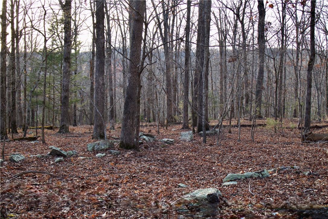 22.37 /- Acres Price Road Winslow, AR 72959 - Photo 20 of 60 Gallery Image 20