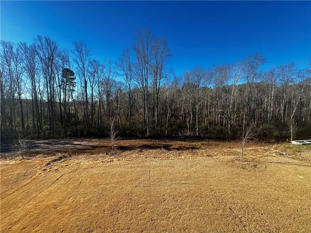 a view of a yard with trees in front of it