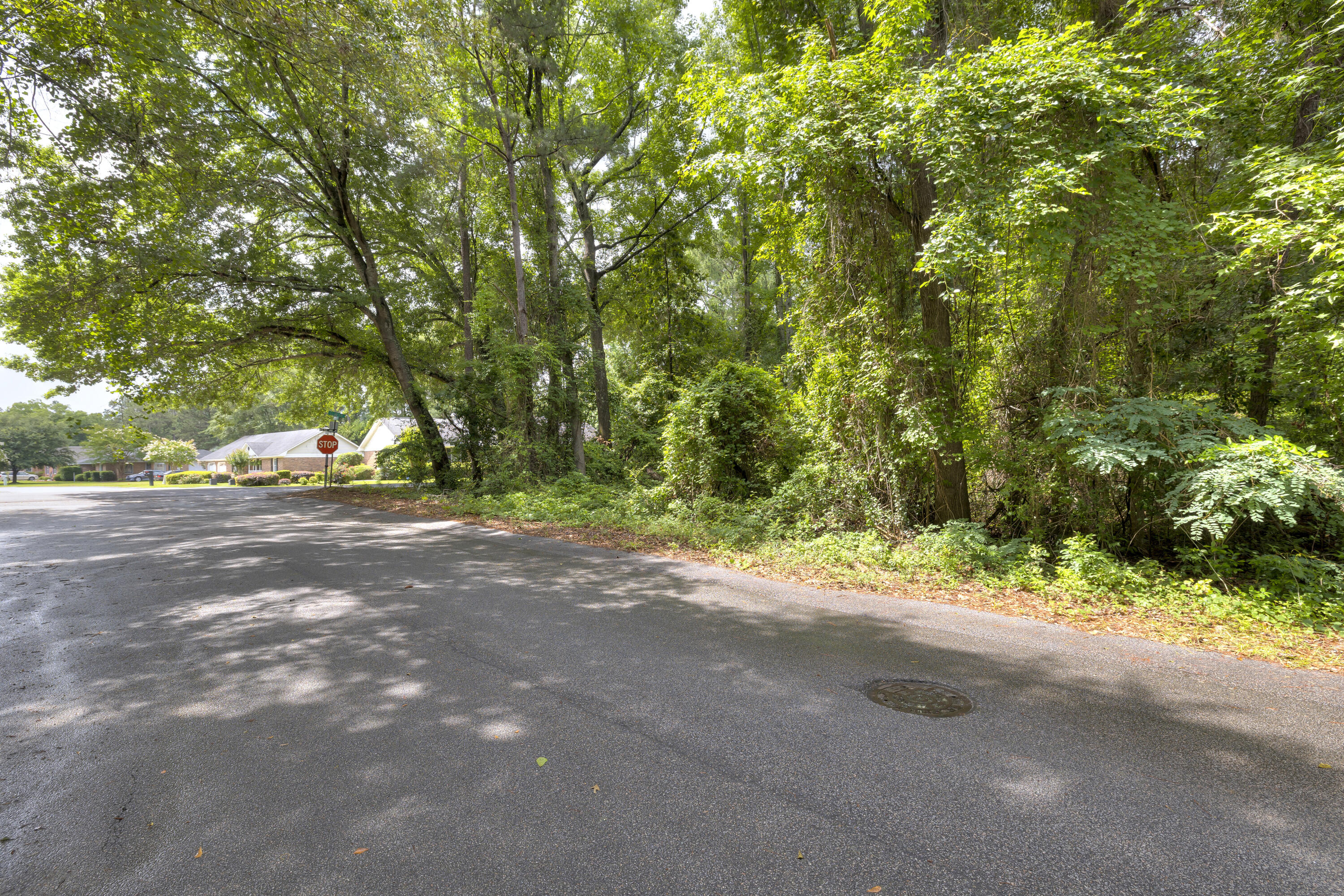 997 Club Lane Sumter, SC 29154 - Photo 2 of 6