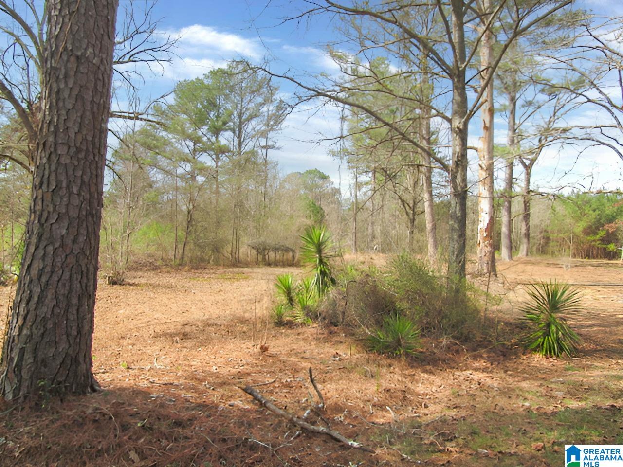 4429 Roy Webb Road Jacksonville, AL 36265 - Photo 6 of 26