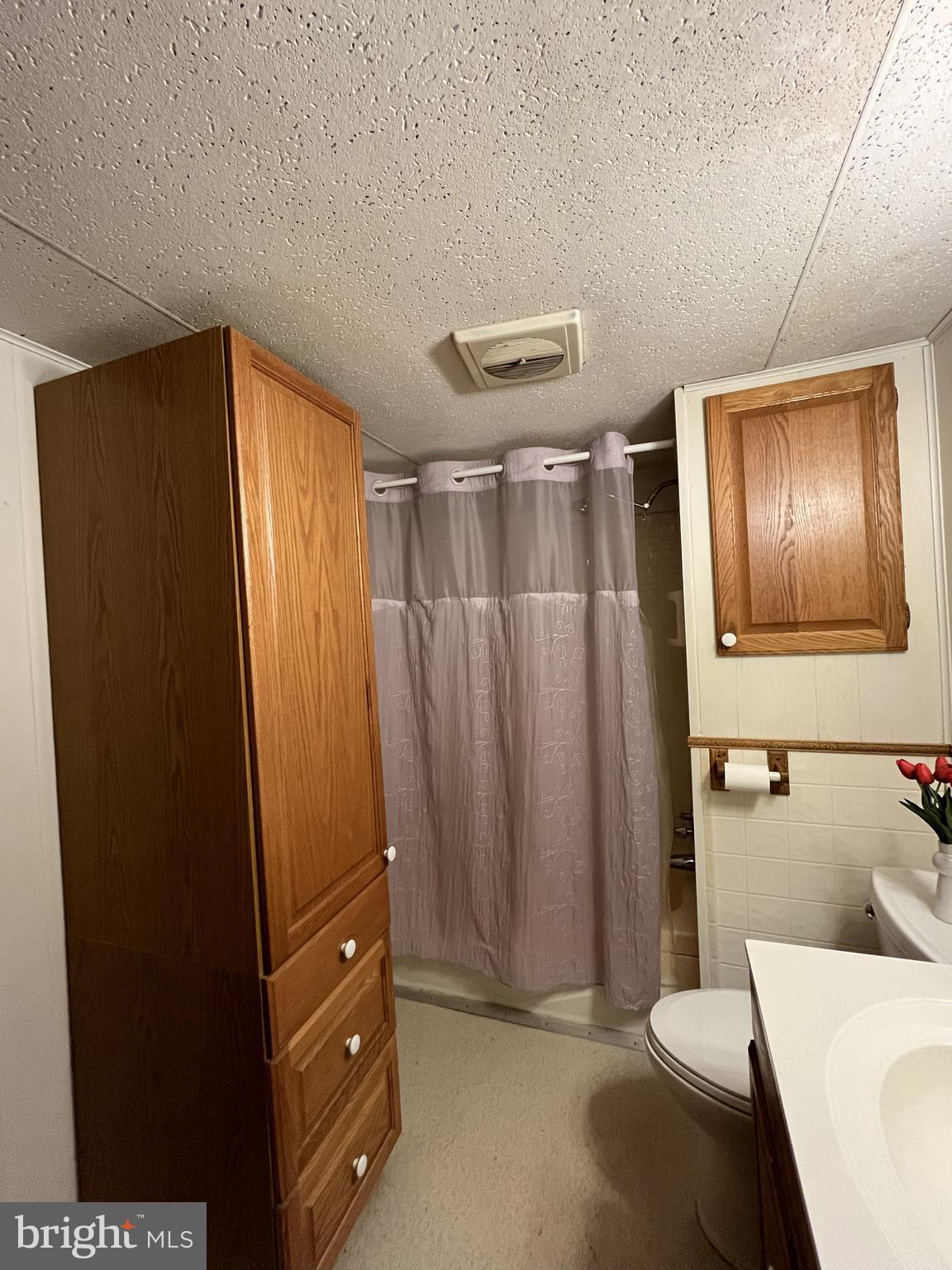512 Brosius Hill Road Mount Pleasant Mills, PA 17853 - Photo 27 of 59 a bathroom with a sink and a mirror
