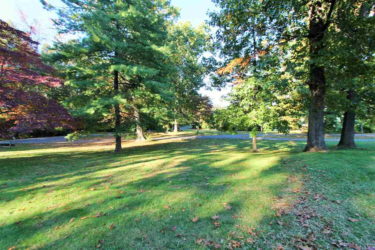 95 Cattle Scales Road Waynesboro, VA 22980 - Photo 3 of 50 a view of a trees with a yard