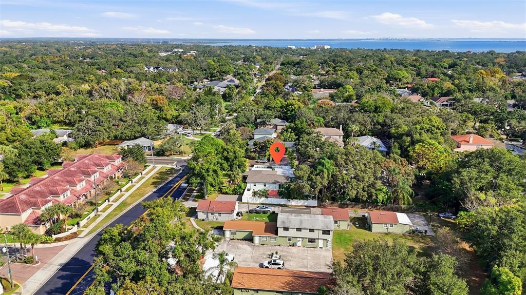 1830 Main Street Safety Harbor, FL 34695 - Photo 85 of 90 an aerial view of residential houses with outdoor space and trees all around