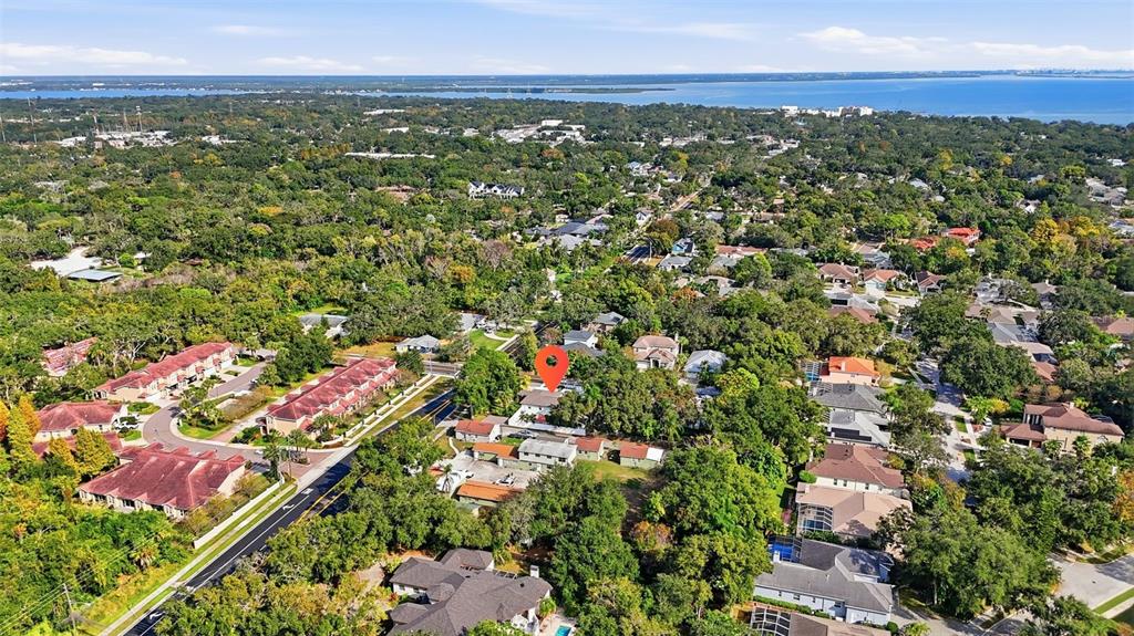 1830 Main Street Safety Harbor, FL 34695 - Photo 86 of 90 an aerial view of residential houses with outdoor space and trees