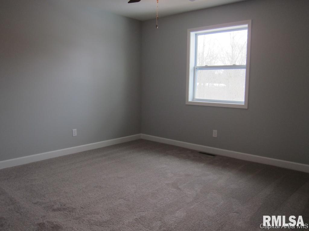 6312 Mottar Road Rochester, IL 62563 - Photo 17 of 31