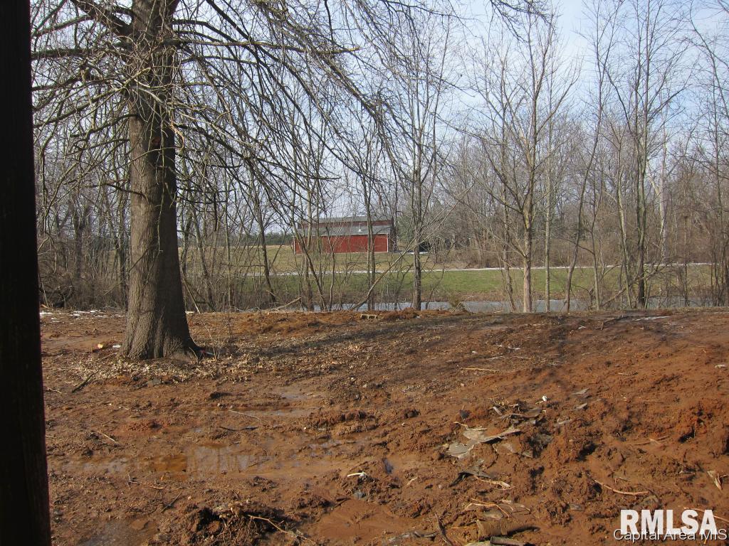 6312 Mottar Road Rochester, IL 62563 - Photo 30 of 31