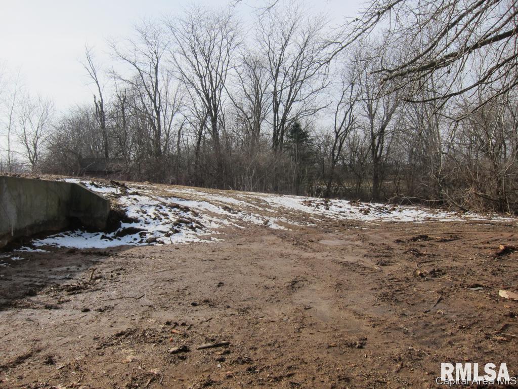 6312 Mottar Road Rochester, IL 62563 - Photo 31 of 31