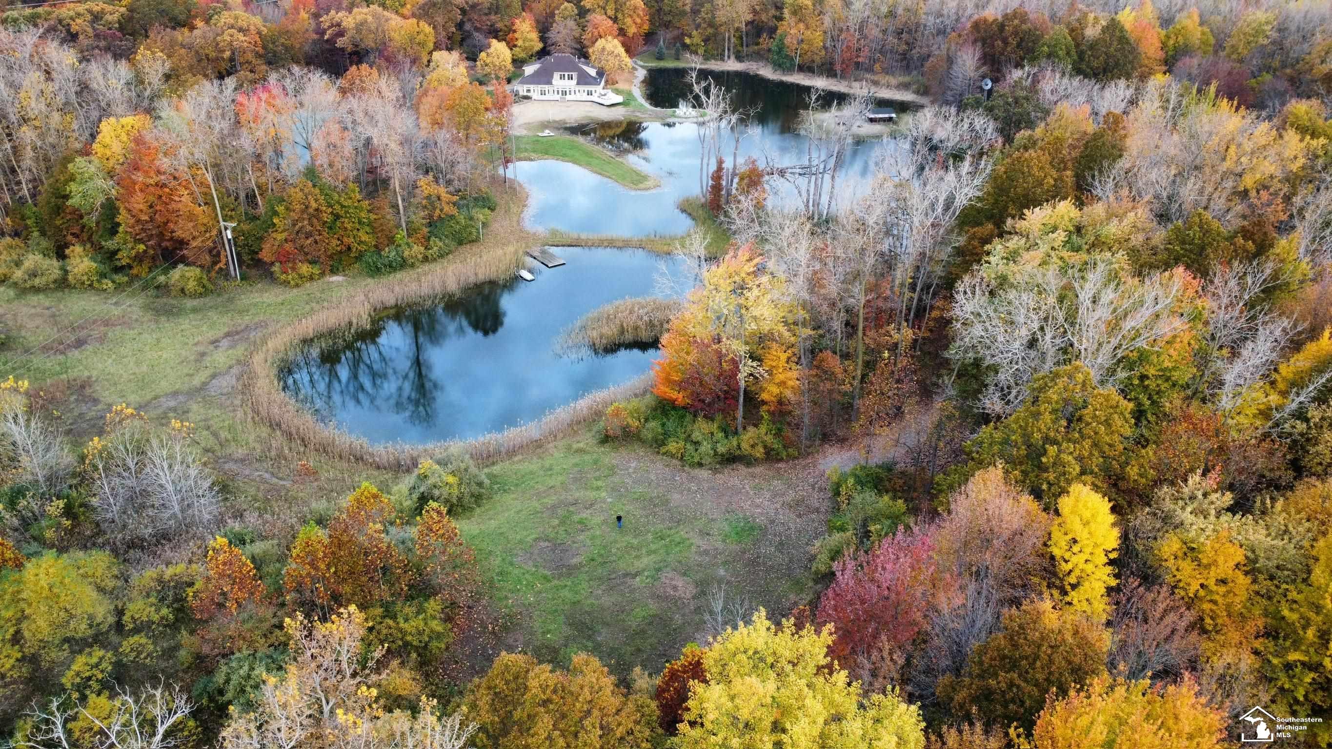3886 Douglas Road Petersburg, MI 49270 - Photo 3 of 12