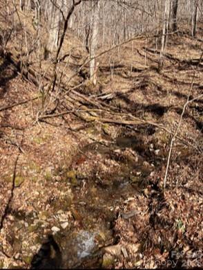 1873 Unahala Creek Road Bryson City, NC 28713 - Photo 2 of 11