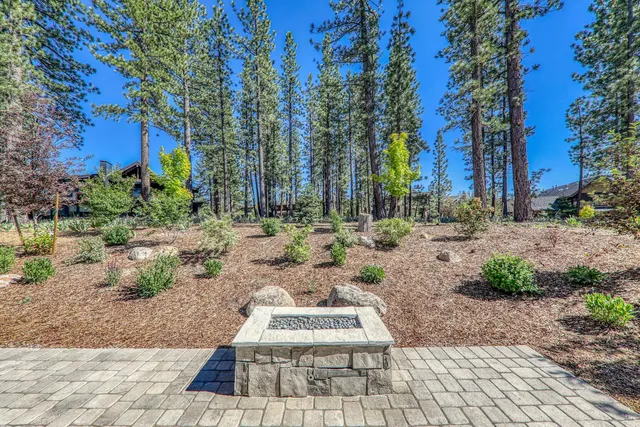 a view of a yard with plants and trees