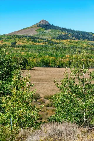 a view of a garden with a lake