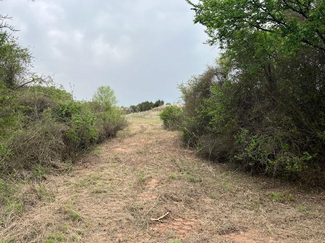 Two 2 Bush Road Perrin, TX 76486 - Photo 7 of 8 View of undeveloped land