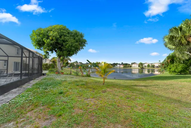 a view of a big yard with a large tree