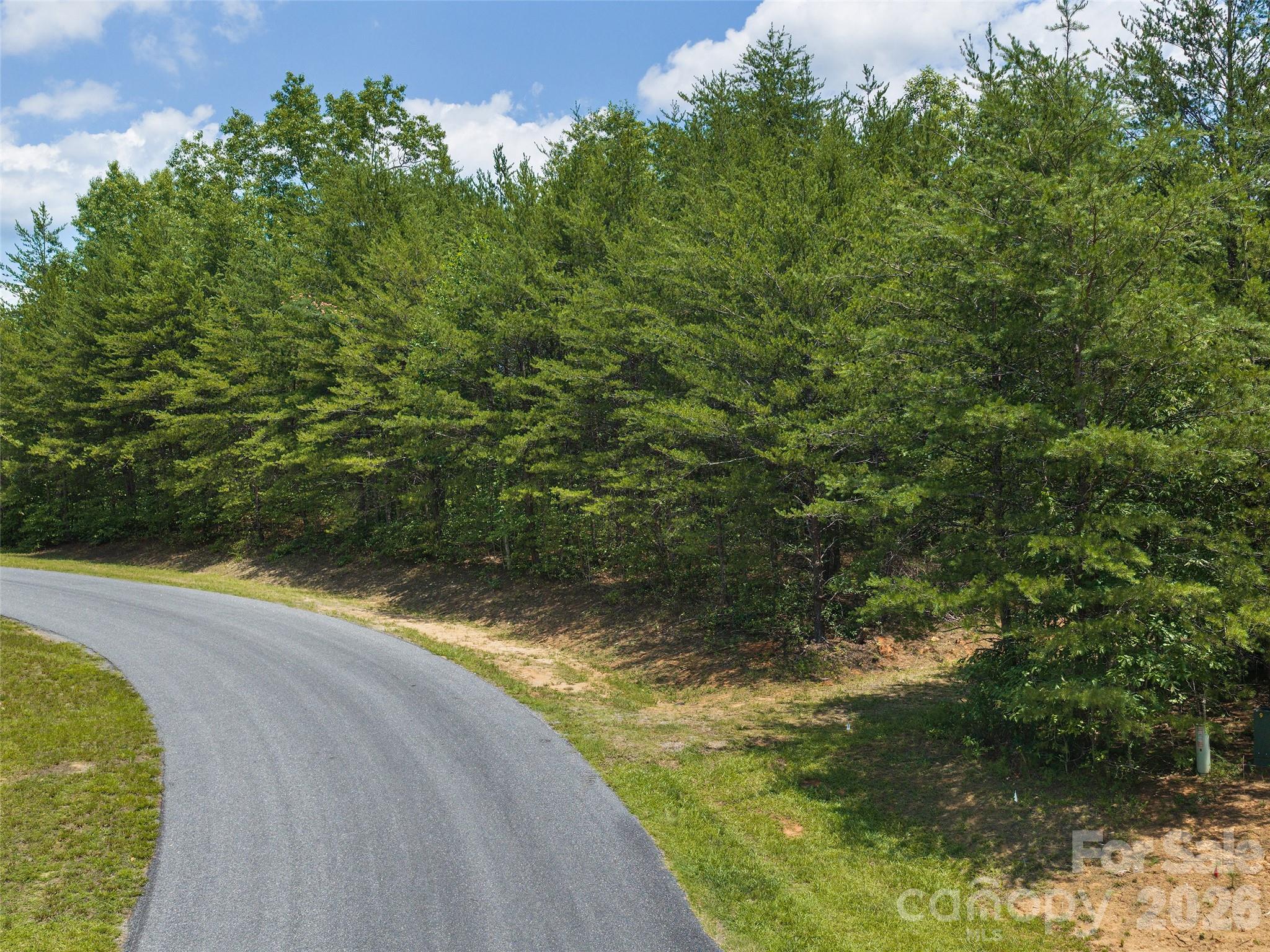 Lot 14 Parkway North Rd Mill Spring, Unit 14 Mill Spring, NC 28756 - Photo 13 of 14