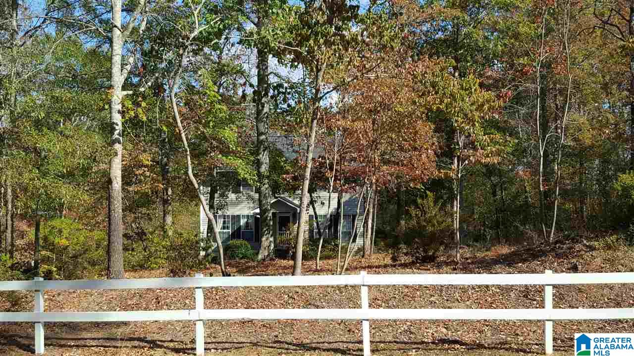 455 Mill Street Wedowee, AL 36278 - Photo 4 of 25