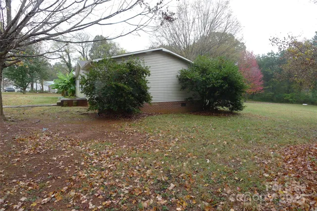 a view of a yard with potted plants and large trees