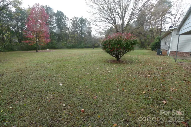 a view of a field with trees