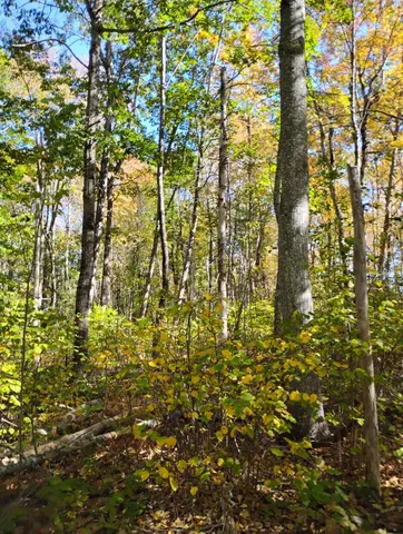 $90,000 | 1 Bicknell Road, Belmont, ME 04952