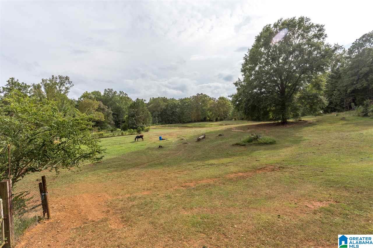 975 Refuge Road Ragland, AL 35131 - Photo 7 of 42