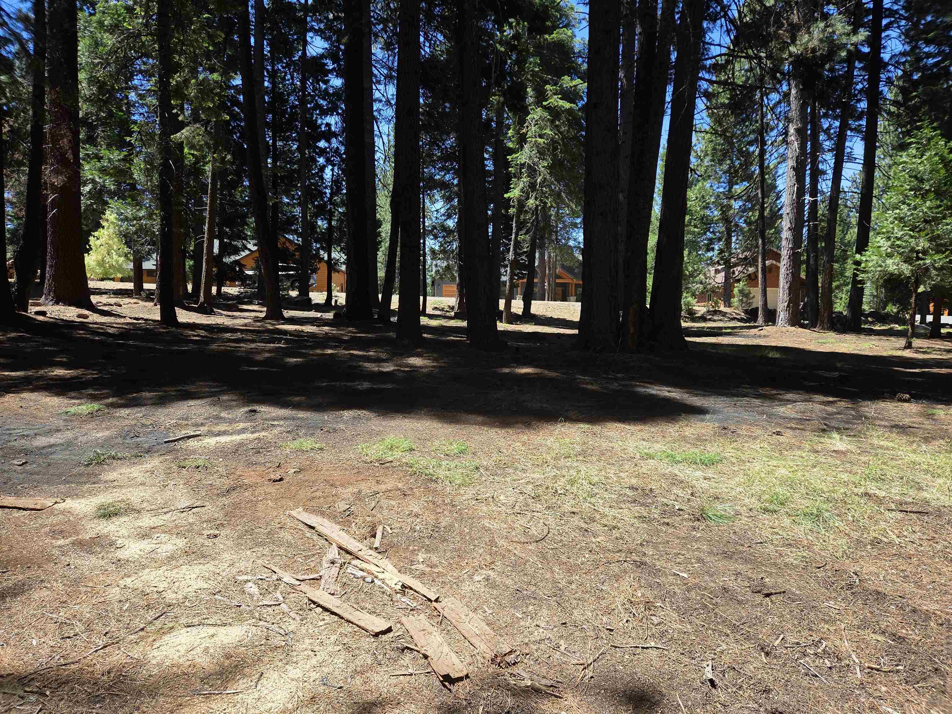 307 Racoon Trail Lake Almanor West, CA 96020 - Photo 4 of 4