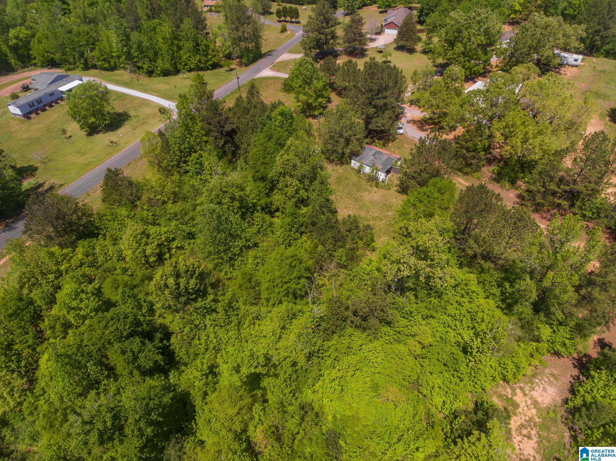 1326 Pine Ridge Road Wellington, AL 36279 - Photo 3 of 15