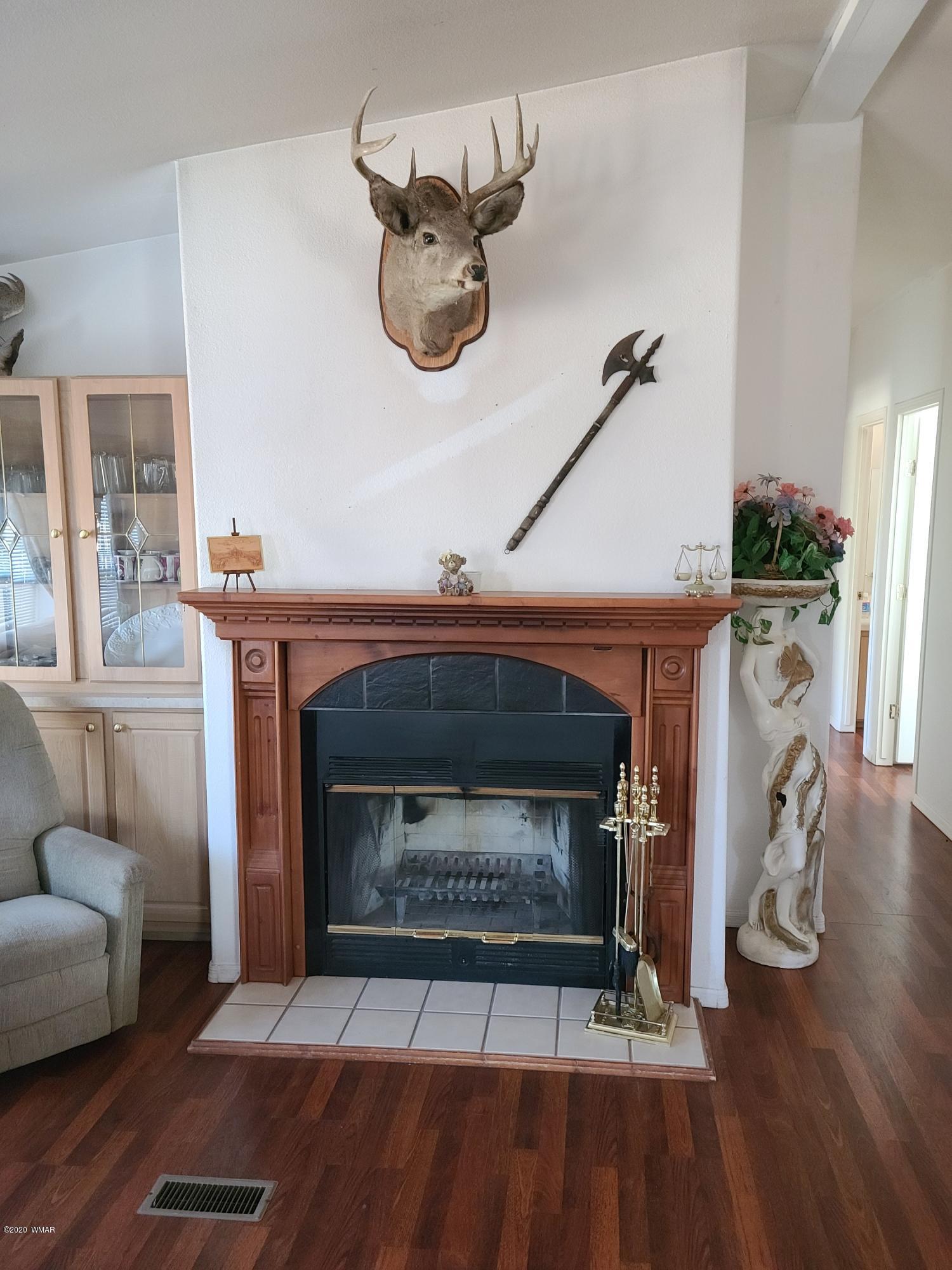 4745 Sawmill Road Clay Springs, AZ 85923 - Photo 4 of 21 Gallery Image 4