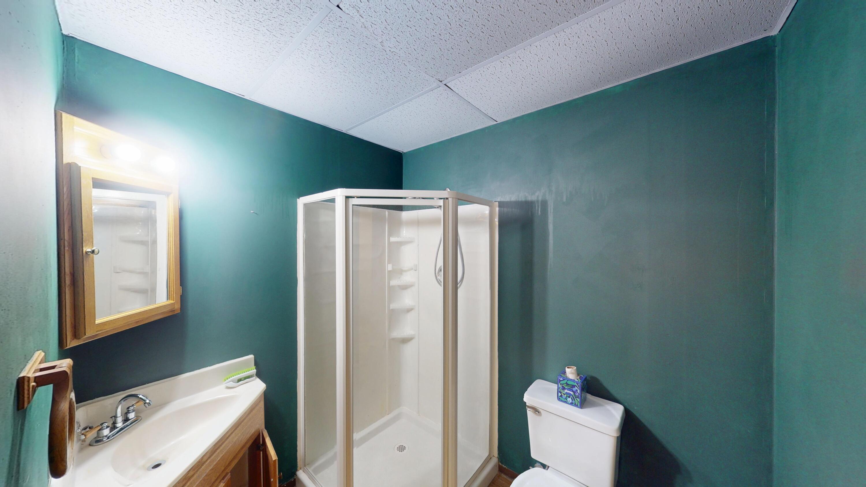 S3527 Bobcat Trail Buffalo, WI 54629 - Photo 24 of 33 Lower Level Bath