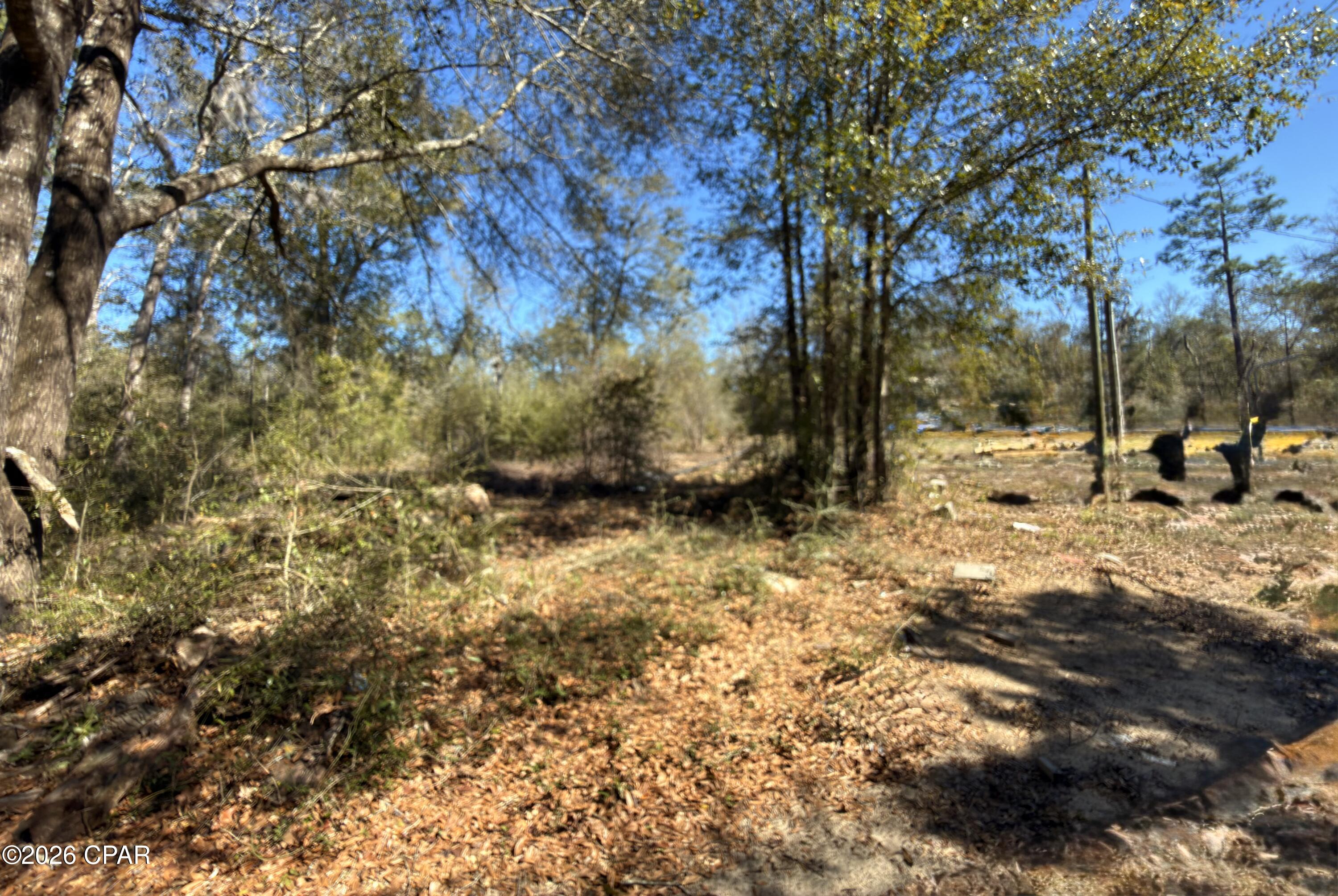 12533 Scott Road Fountain, FL 32438 - Photo 3 of 3