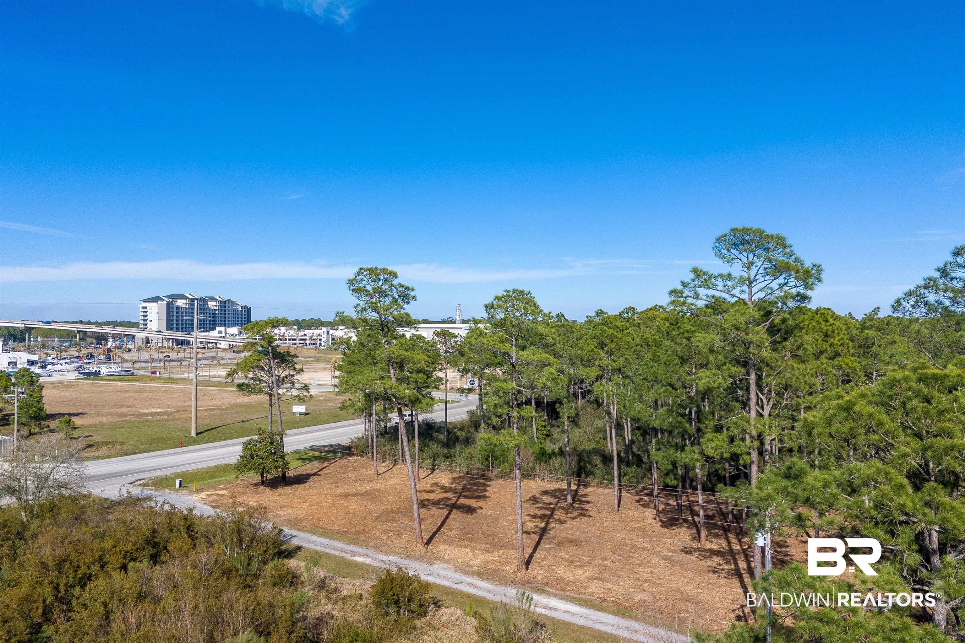 0 Canal Road Orange Beach, AL 36561 - Photo 10 of 25 Birds eye view of property
