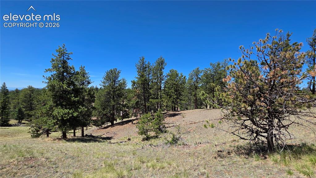 1366 North Mountain Estates Road Florissant, CO 80816 - Photo 10 of 16