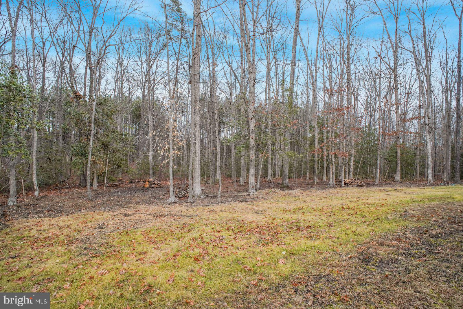 6113 Ridge Tree Road Fredericksburg, VA 22407 - Photo 22 of 31 Gallery Image 22