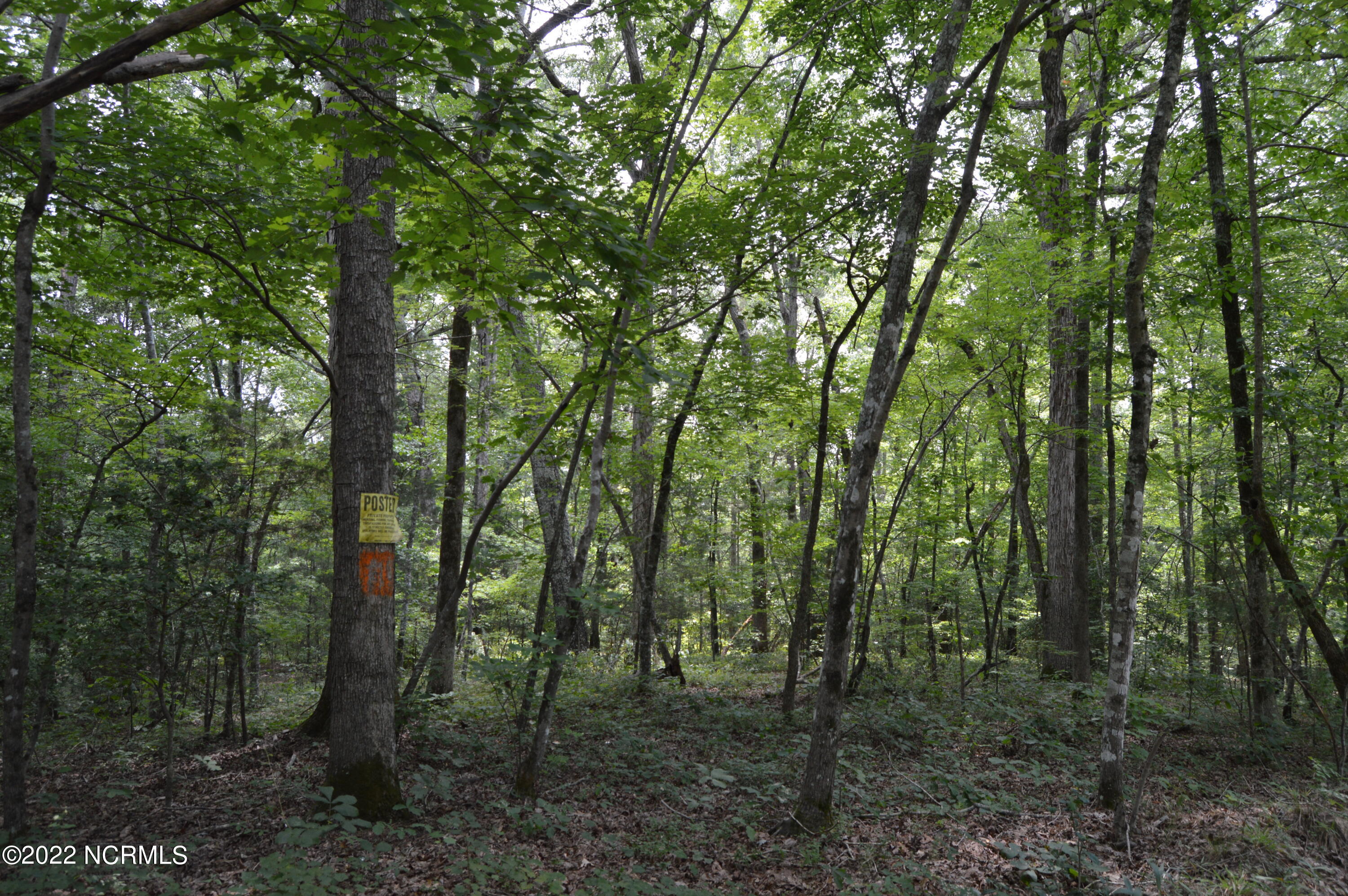Tbd Underwood Road Carthage, NC 28327 - Photo 1 of 1 DSC_0278