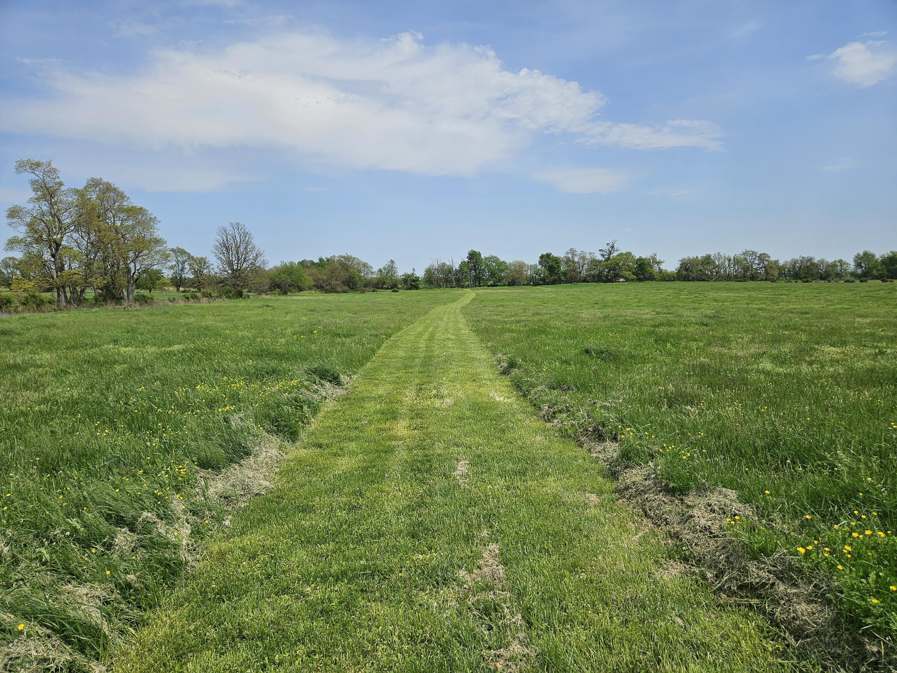 2914 Lambeth Road Billings, MO 65610 - Photo 25 of 29 20250428_142538