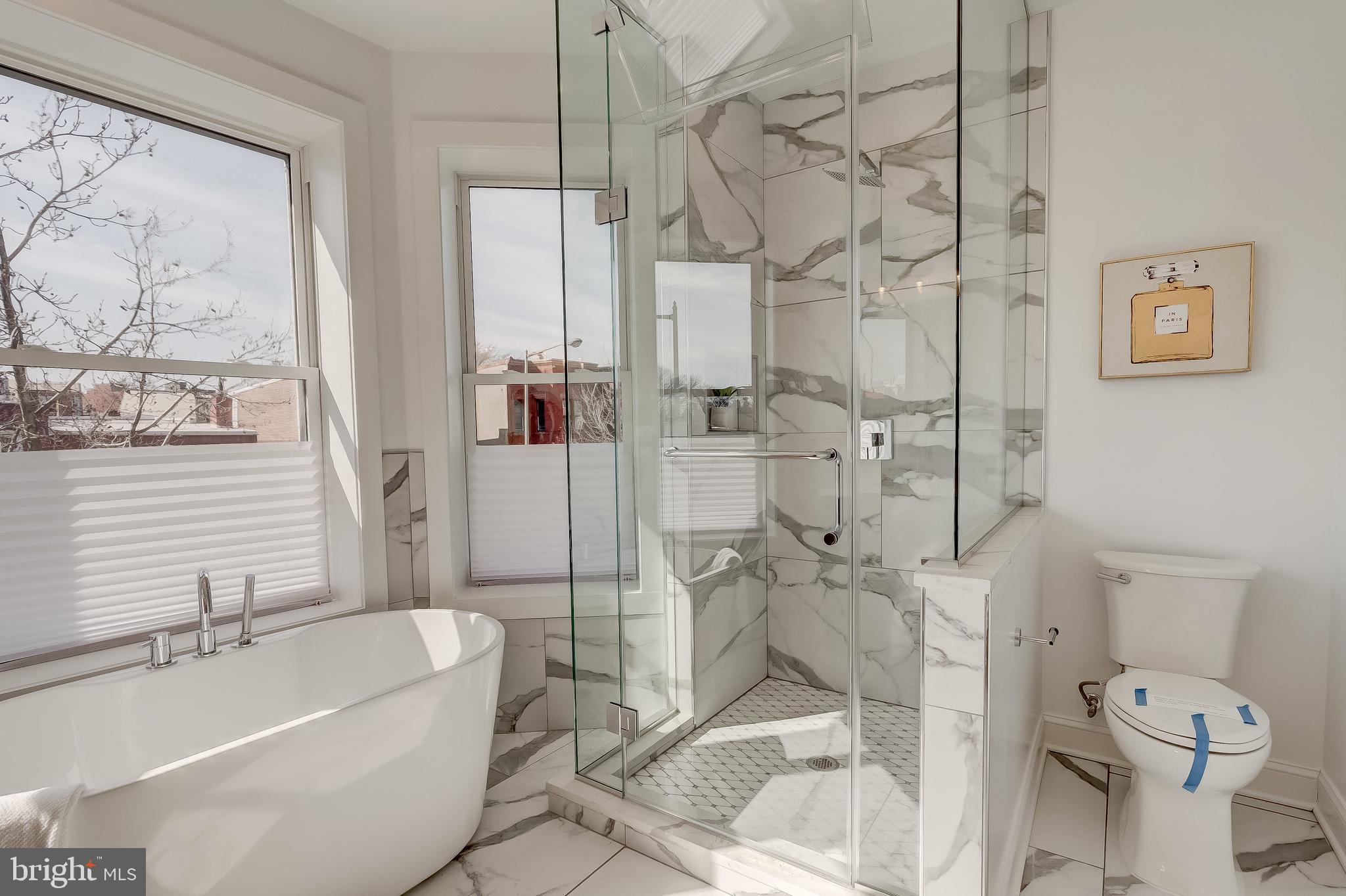 319 R Street Northwest Washington, DC 20001 - Photo 14 of 33 Main Bathroom glass shower enclosure