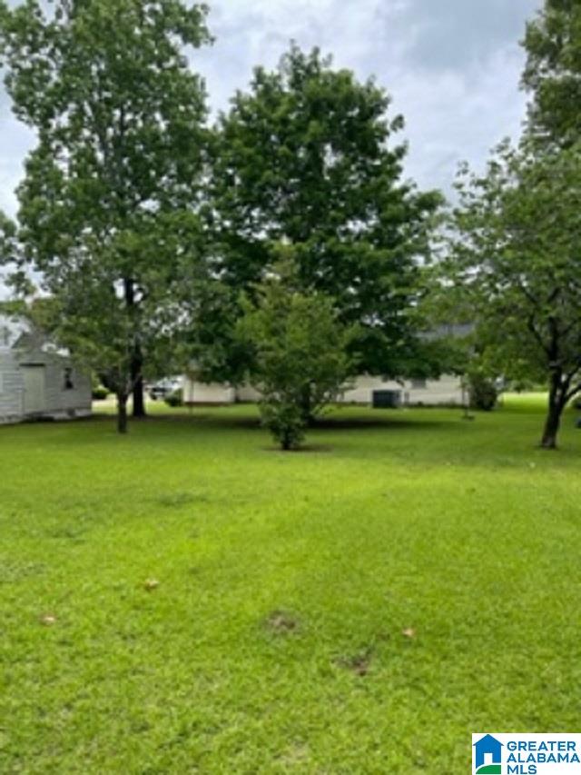 303 Herbert Street Demopolis, AL 36732 - Photo 16 of 18